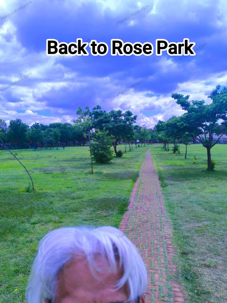 Rose Park